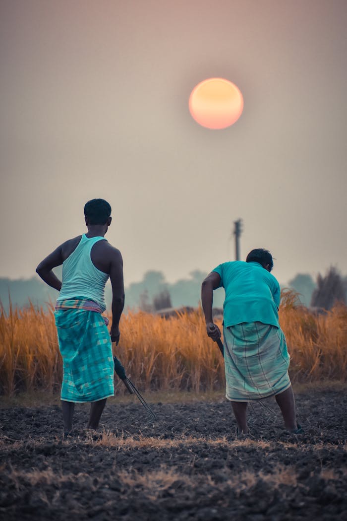 Silhouetted view of two farmers working in a rural field during a scenic sunset.